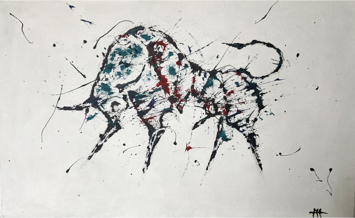 La scoperta del Toro